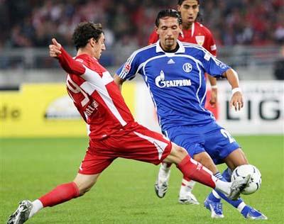 的广泛讨论 的广泛讨论